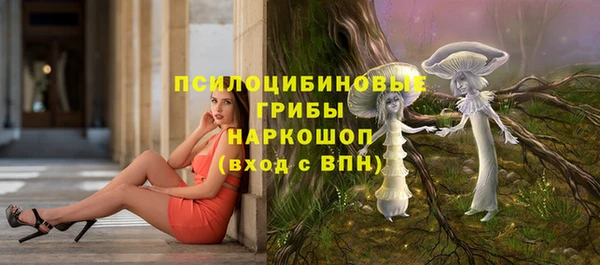 СК Абинск