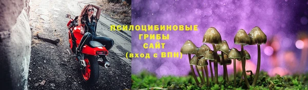 бошки Алексин