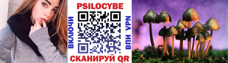 Псилоцибиновые грибы мицелий  Злынка 